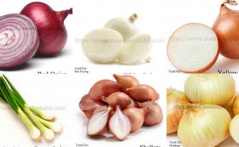 6 तरह का होता है प्याज़, जानिए सही उपयोग 6 Types of Onions and its Uses