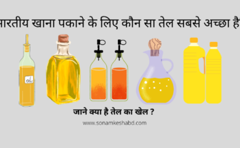 Best Cooking Oils for Indian Food in 2022